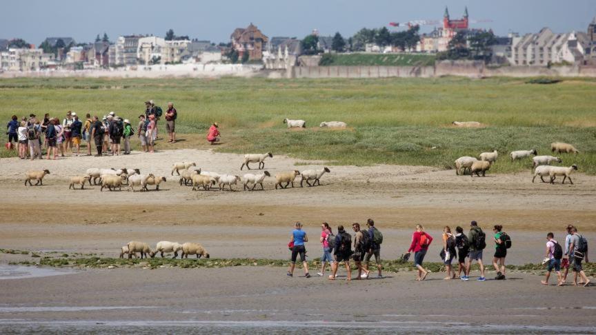 Les Arts - Cocon Romantique En Baie De Somme Boismont  Esterno foto